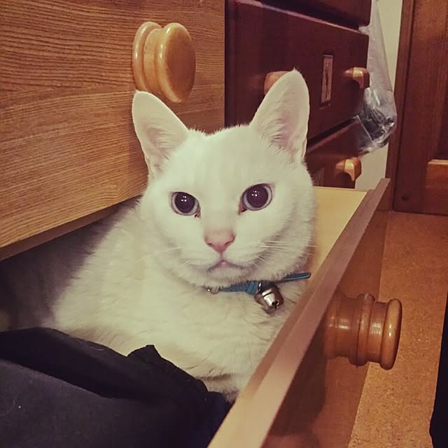 minaさんの実例写真
