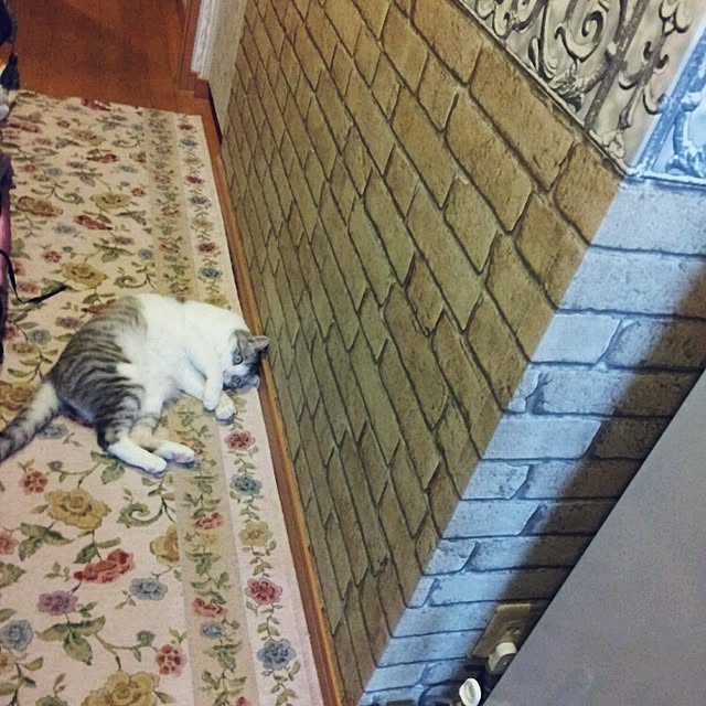 emmyyさんの実例写真