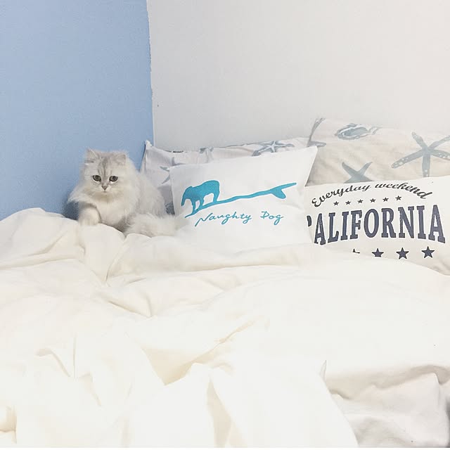 cocoさんの実例写真