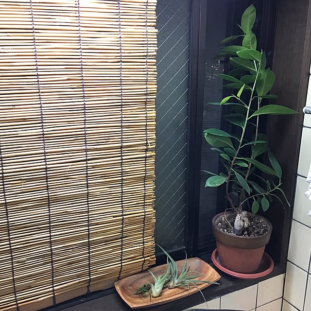 tatsuさんの実例写真
