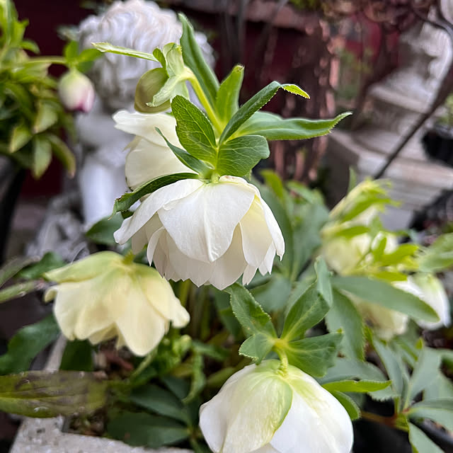 AYUKOさんの部屋