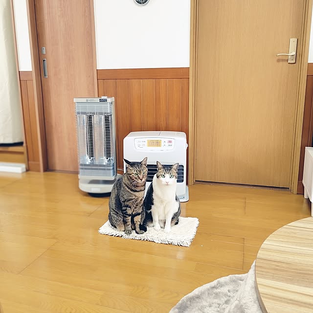 nachiさんの実例写真