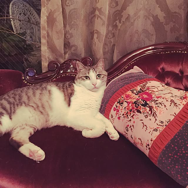 emmyyさんの実例写真