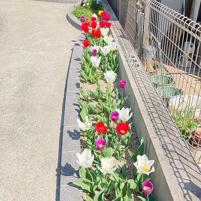 Andreaさんの実例写真