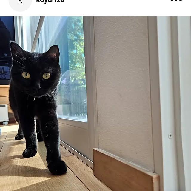 koyurizuさんの実例写真