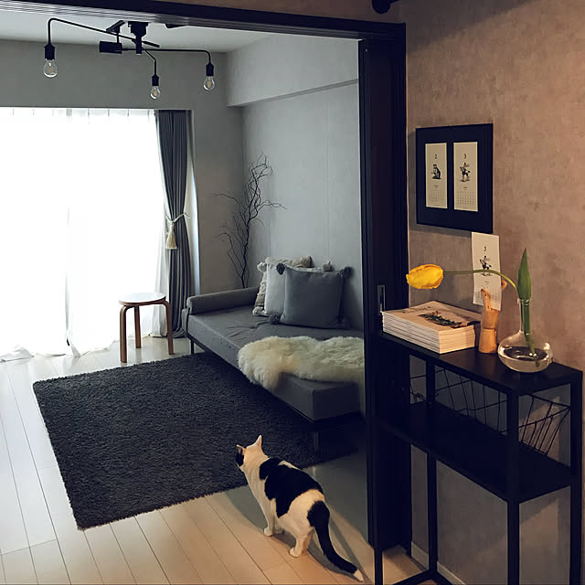 tititomyuさんの実例写真