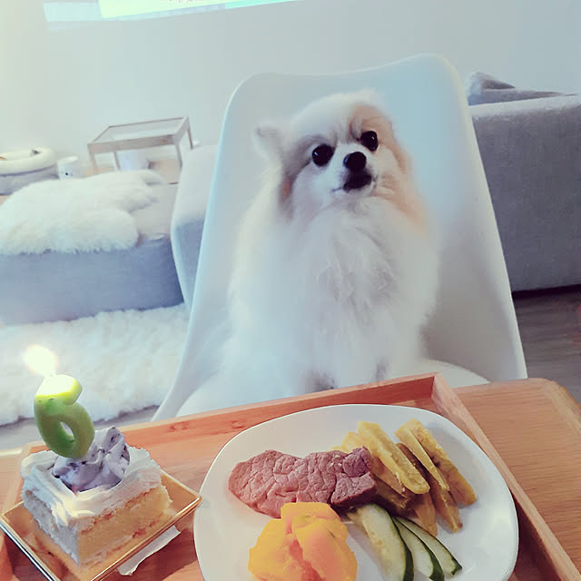 noahさんの実例写真