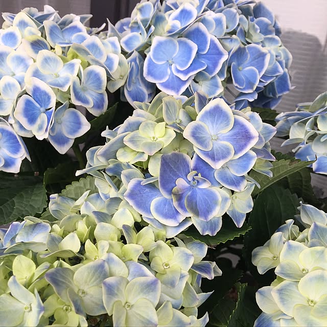 aym0418さんの実例写真