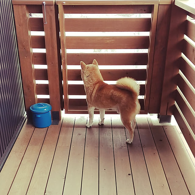 ponhanaさんの実例写真
