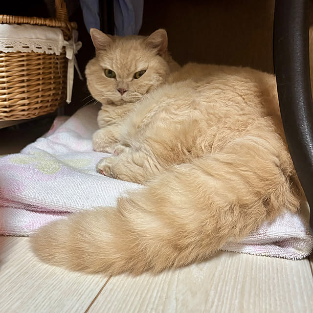 naokoさんの部屋