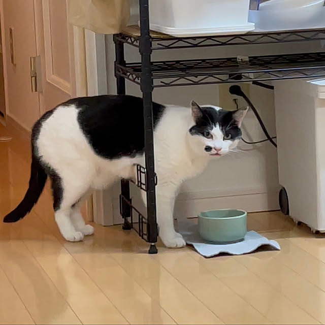 nicoさんの実例写真