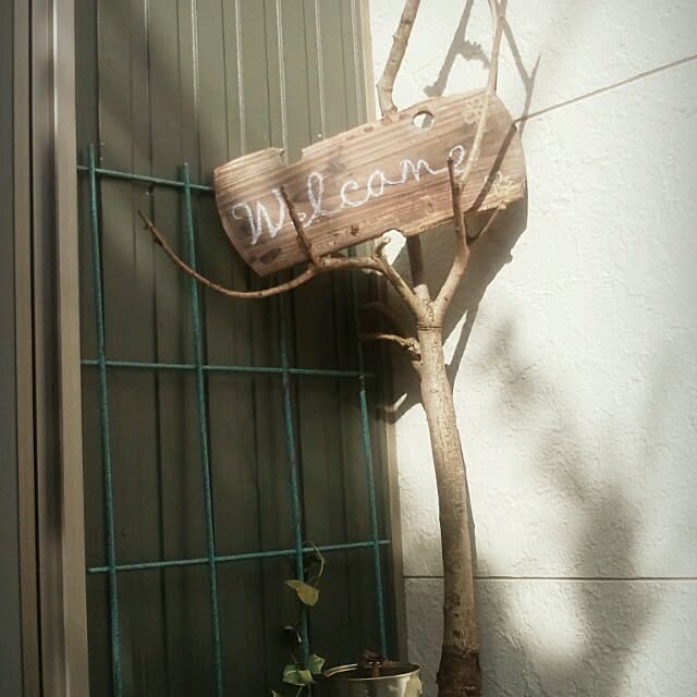 asa0521さんの実例写真