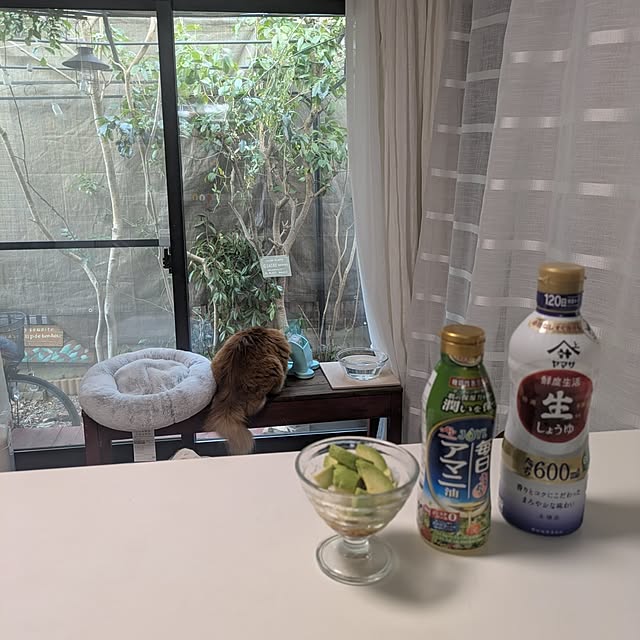 mori_6_12さんの実例写真