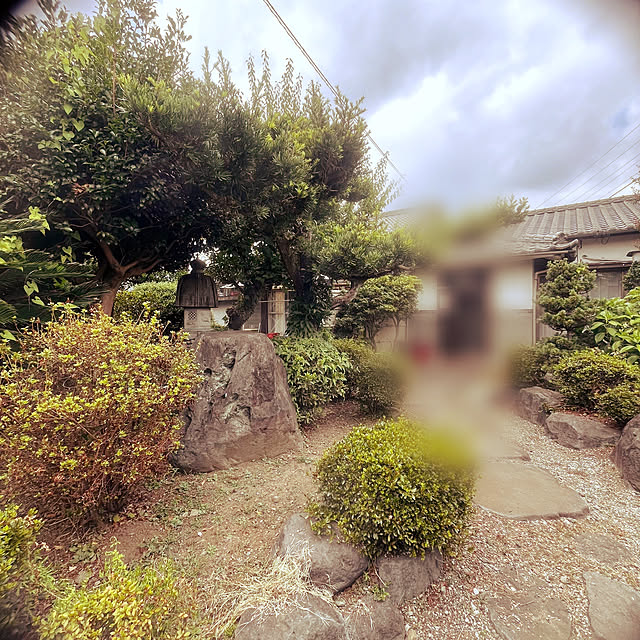 Mさんの実例写真