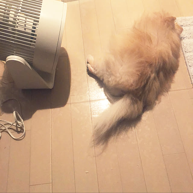 haruさんの実例写真