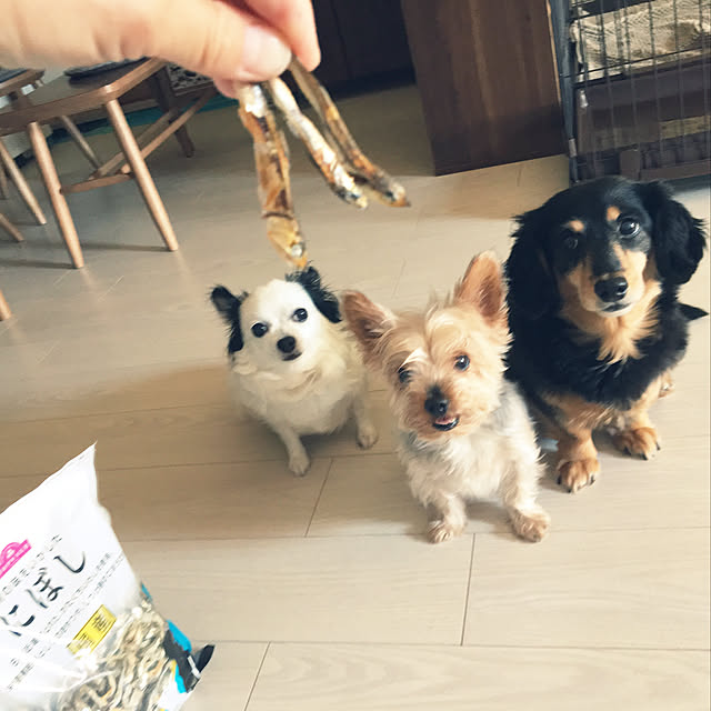 ohanaさんの実例写真