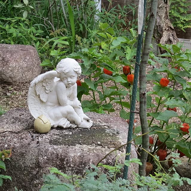 inakanodateotokoさんの実例写真