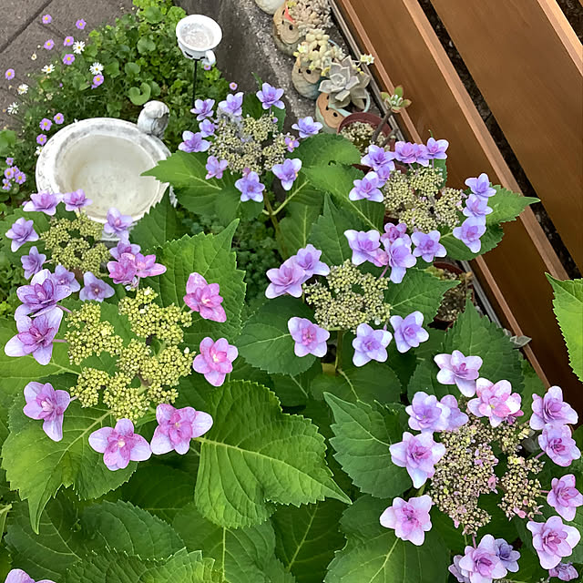 haruminさんの部屋
