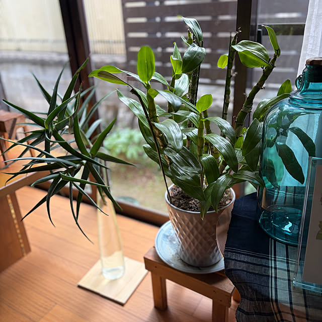 buchiさんの部屋