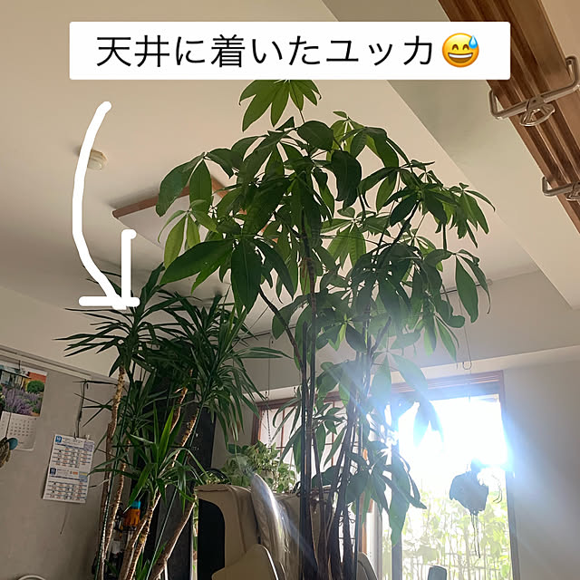 Aqettyさんの部屋
