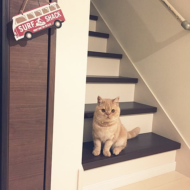 cocoさんの実例写真