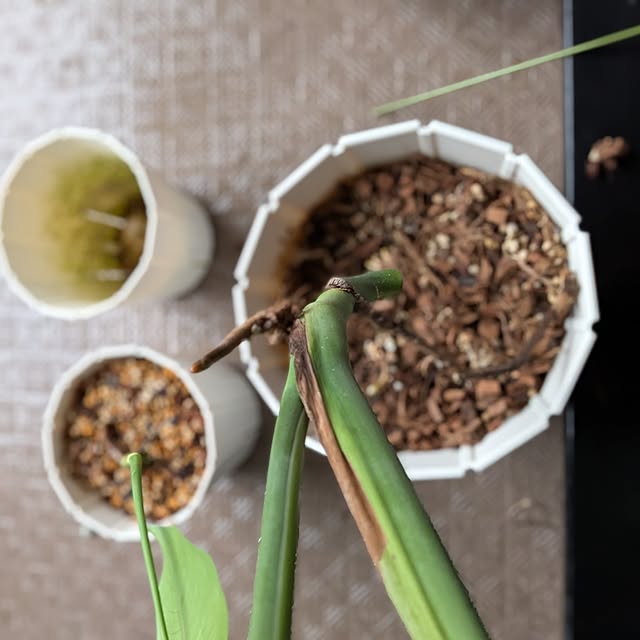 kolo92さんの部屋