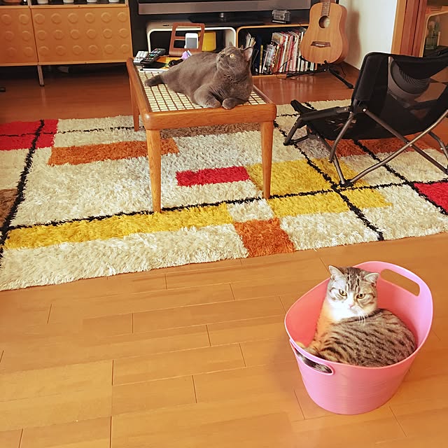Shojiさんの実例写真