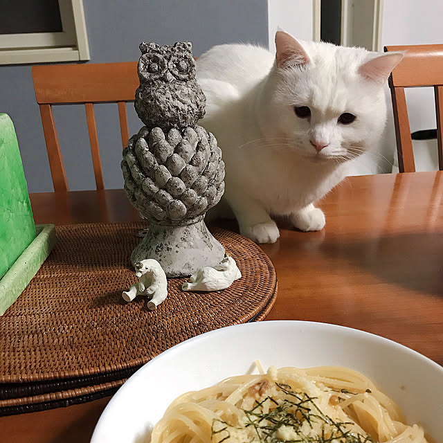 nyanko-beamさんの実例写真