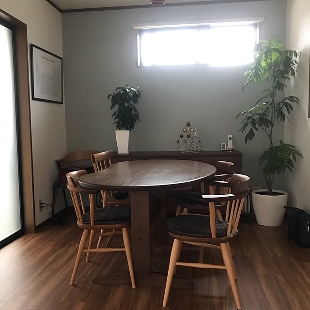 umeko100kgさんの実例写真