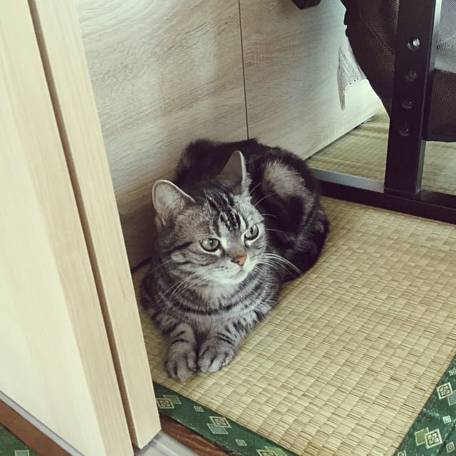 richanさんの実例写真