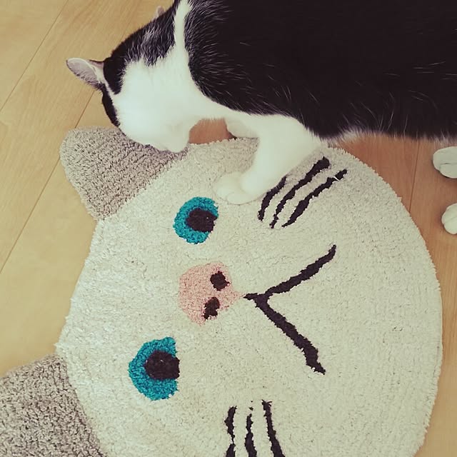 millsukeさんの実例写真
