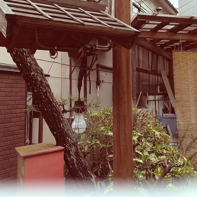 miiさんの実例写真