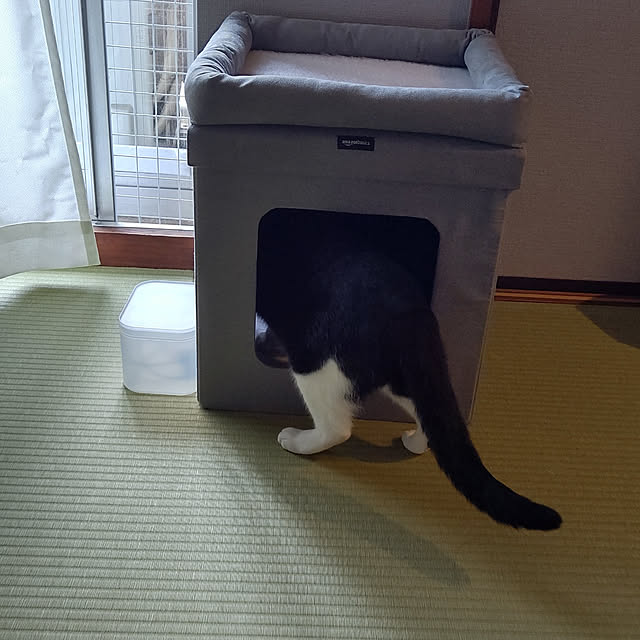 hihaさんの実例写真