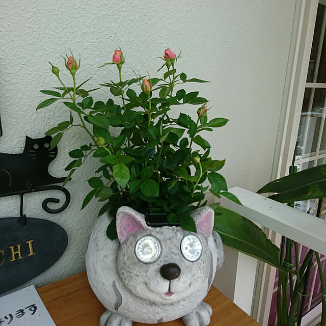 machikomamaさんの実例写真