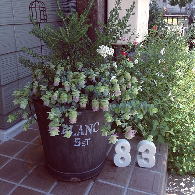 renon0625さんの実例写真