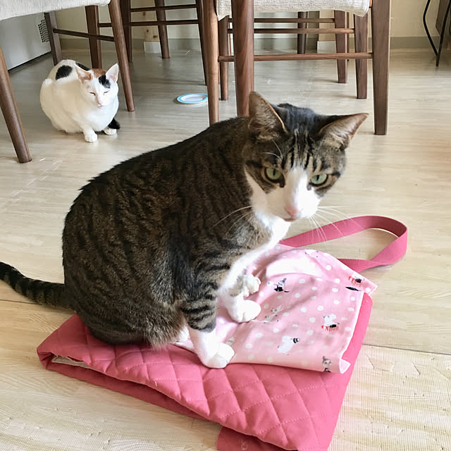 ichi.さんの実例写真