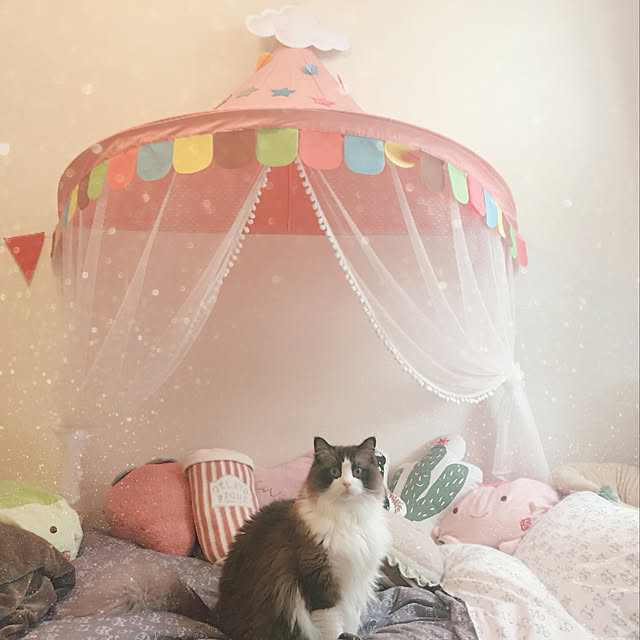 kiki94326さんの実例写真