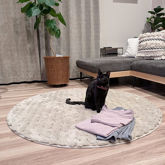 mm3さんの実例写真