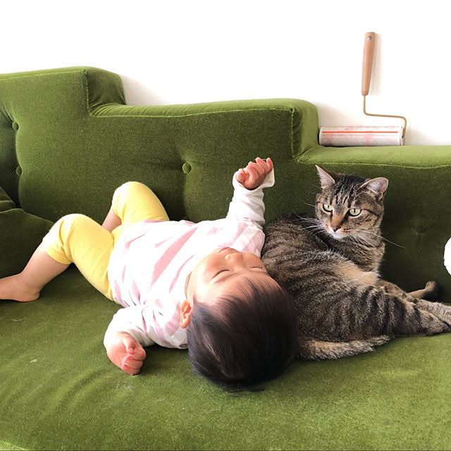 mikomaruさんの実例写真