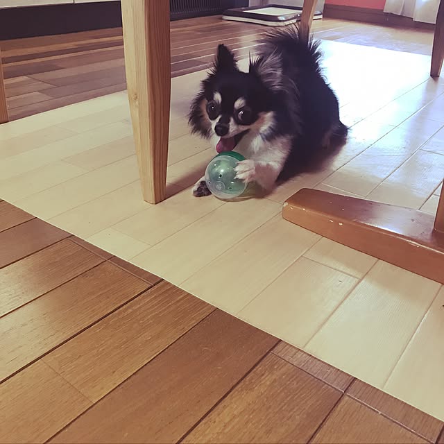 T.makiさんの実例写真