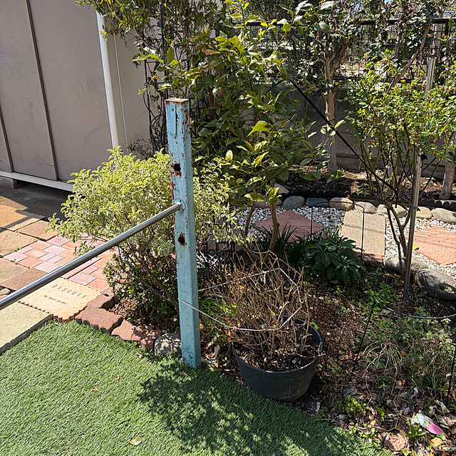 ronronさんの部屋