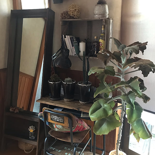 Tomokoさんの実例写真
