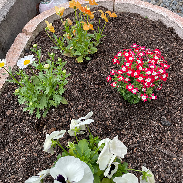 Andaluciaさんの部屋