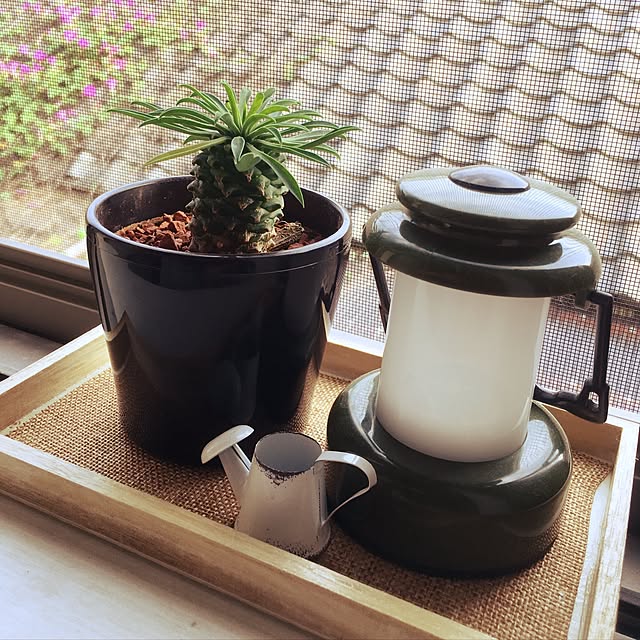 NISHIKI_HOMEさんの実例写真