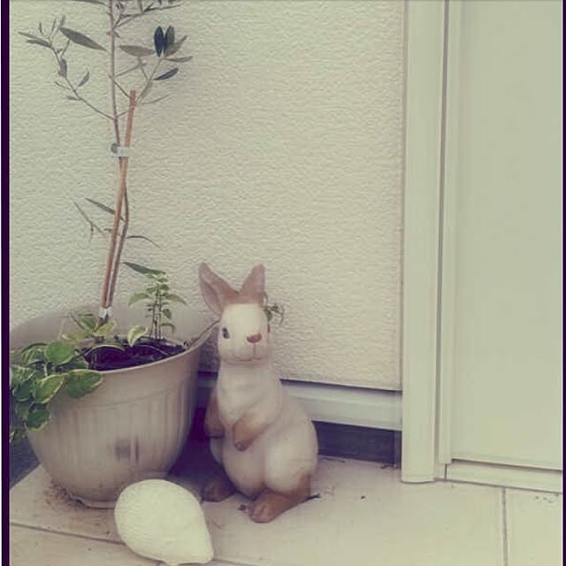 実例写真
