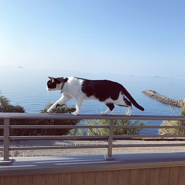noraさんの実例写真