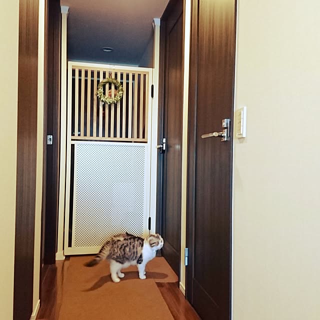 Sachiさんの実例写真