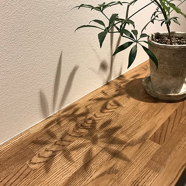 Se-kichiさんの実例写真