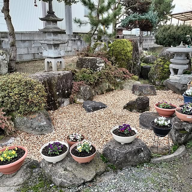 sumimarumiさんの部屋