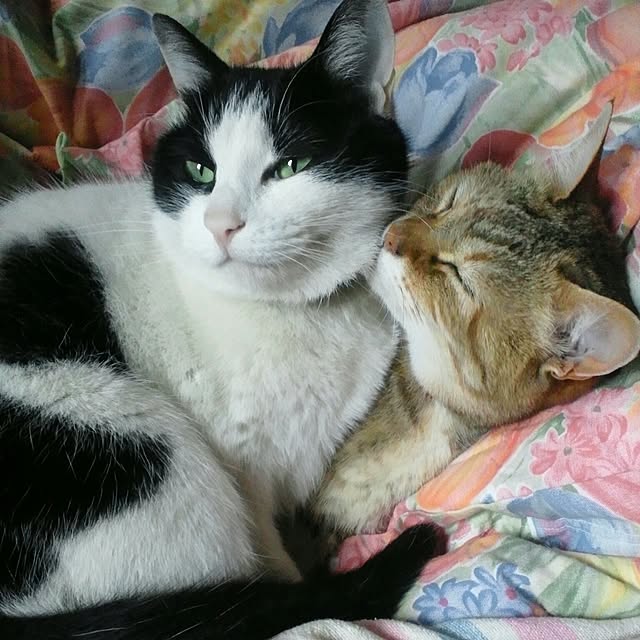 OKUUCHANさんの実例写真